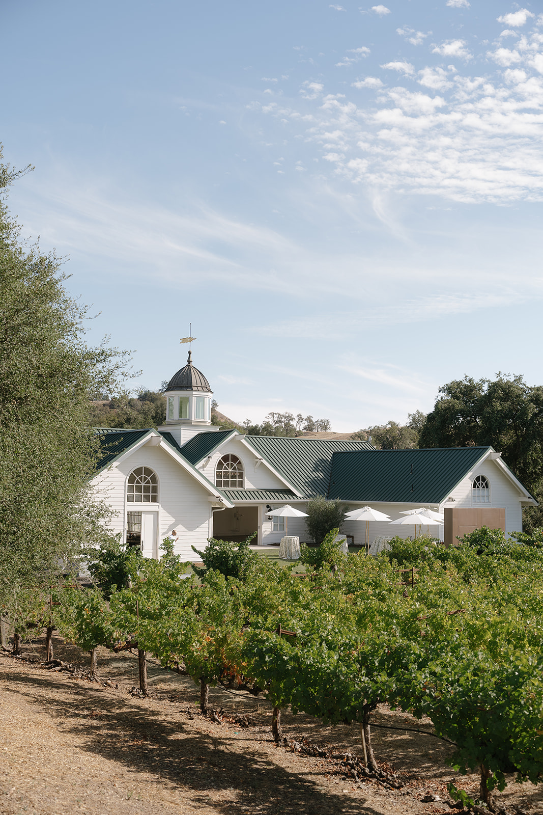 Mountain Meadows in Sonoma County